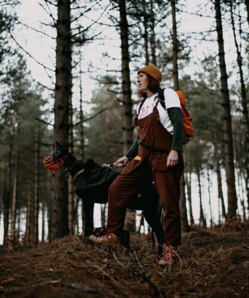 Säkerhet i Skogarna: Undvikande av Farliga Växter och Insekter